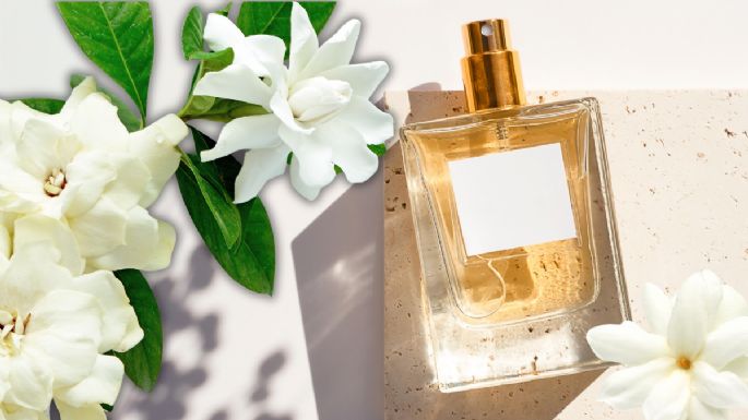 Estos son los mejores perfumes con gardenia para mujer más usados este 2024