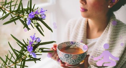 Té de romero: Así puedes preparar la infusión efectiva para el estrés