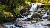 Foto ilustrativa de la nota titulada: Dónde ir: Parque Nacional Los Dinamos conoce la cascada más cercana a CDMX