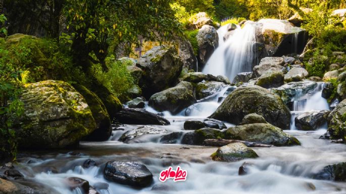 Dónde ir: Parque Nacional Los Dinamos conoce la cascada más cercana a CDMX