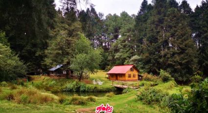 Bosques embrujados en México: Lugar ideal para acampar y vivir la adrenalina al máximo junto a tus amigos