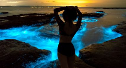 Las lagunas más bellas e ideales de Oaxaca para ver el fenómeno de la bioluminiscencia