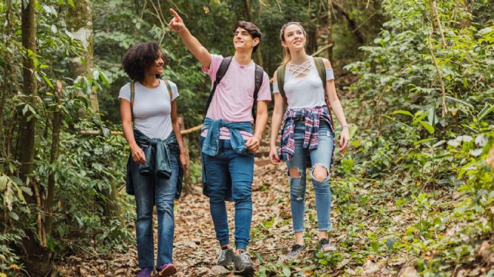 El manantial más bonito de Querétaro rodeado por vegetación exuberante que debes visitar este 2025