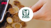 Foto ilustrativa de la nota titulada: Modalidad 40 del IMSS: ¿Cuáles serán los pagos de 10 a 25 UMAS en este 2025?
