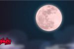 Cuándo es el primer Eclipse Lunar 2025 y en qué estados de México se podrá disfrutar