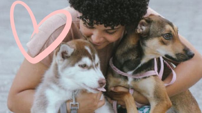 ¿Qué razas de perros pueden ser de apoyo emocional y cuáles deberías evitar?