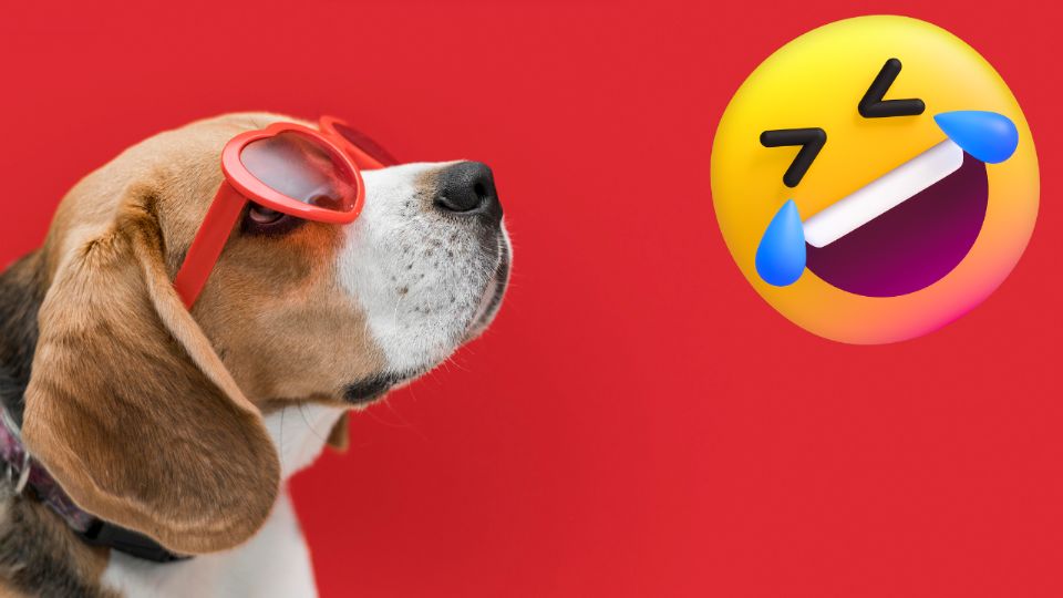 ¡Y no es IA! Perrito con lentes y sombrero pasea en motocicleta por Chignahuapan