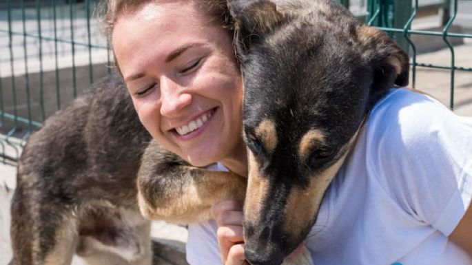 ¿Cómo ayudar a los perritos peregrinos de la Basílica de Guadalupe y dónde está el módulo de ayuda?