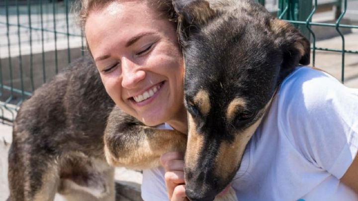 ¿Cómo ayudar a los perritos peregrinos de la Basílica de Guadalupe y dónde está el módulo de ayuda?