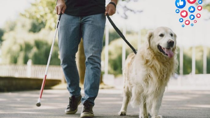 ¿Los pacientes del IMSS con perros de asistencia pueden tomar consulta con ellos?