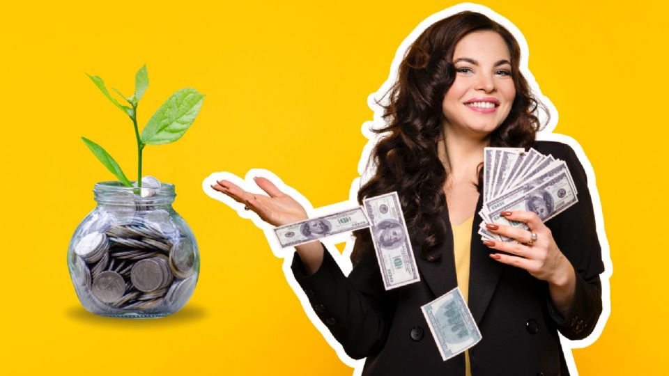 Esta planta que atrae abundancia antes de acabe al año, requiere abundante luz junto a la ventana, para resplandecer radiante.