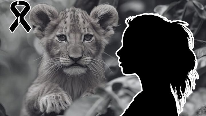 ¿Actriz de la obra 'El Rey León' en Broadway murió al ser asesinada por su novio? Esto se sabe