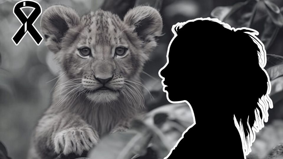 La trágica muerte de Imani Dia Smith deja en shock a Broadway.