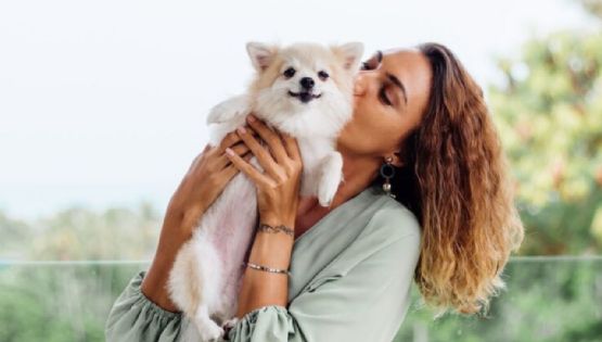 ¿Cómo saber que tu perro te ama? Revisa estos comportamientos, según etólogos