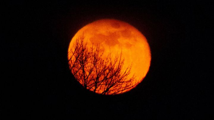 Luna de Lobo, conoce qué es y cuándo sucederá este fenómeno astronómico