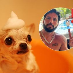 ¡Rechazan a Poncho de Nigris! ¿Por qué ofreció 10 millones a una desconocida para comprar un perro?