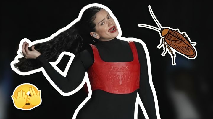 Rosalía vive inesperado susto por una cucaracha en entrevista y su reacción se vuelve viral en TikTok