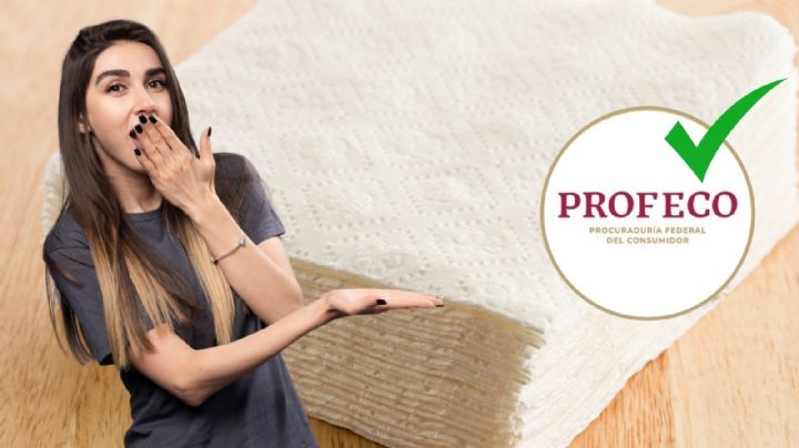 ¿Cuáles son las servilletas que valen 3 veces menos que unas PREMIUM y absorben excelente, según Profeco?