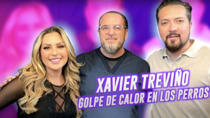 Golpes de Calor en Mascotas: Síntomas y Prevención con el Veterinario Xavier Treviño