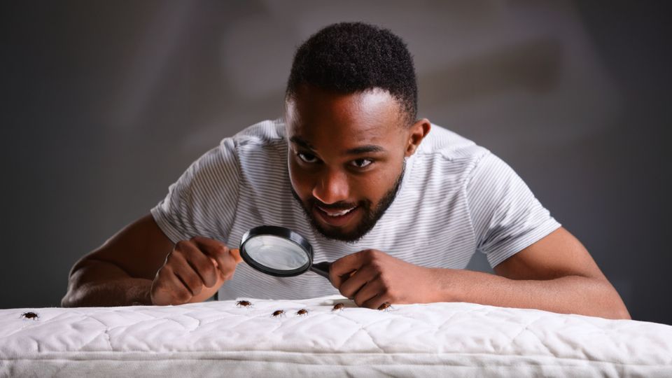 Fuente: Producción FM Globo