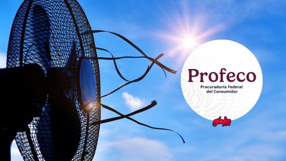 Se aproxima el calor y Profeco comparte cuáles son los mejores ventiladores disponibles en el mercado.