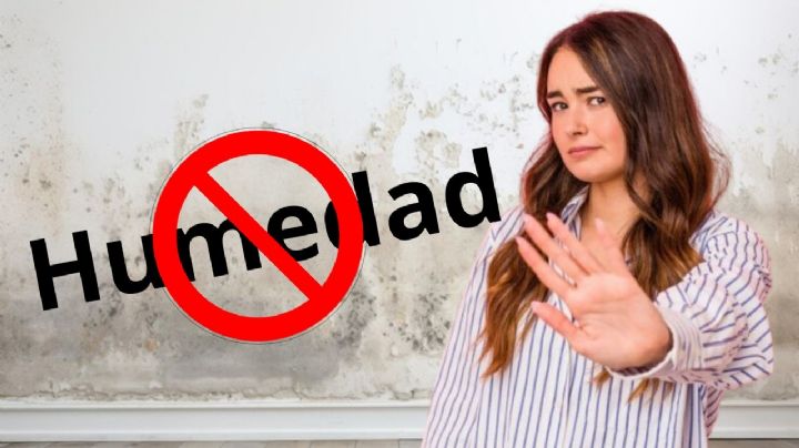 ¿Cómo eliminar la humedad de las paredes blancas?