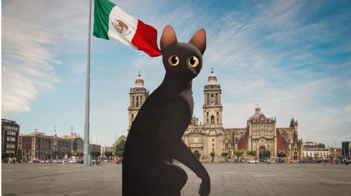 Flow tendrá proyección GRATIS en el Zócalo de la CDMX, ¿Cuándo y a qué hora ver la película?