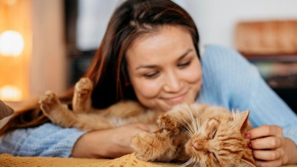 Aunque los gatos no entienden la maternidad como los humanos, algunos desarrollan un vínculo tan profundo que los llegan a ver cómo su figura materna.