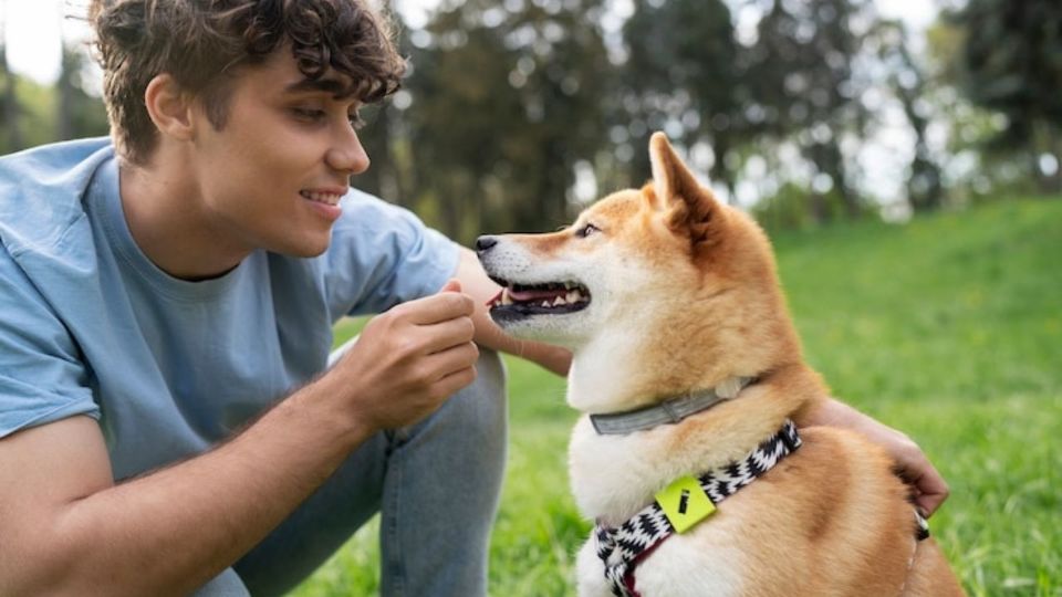 Hablar con un perro no es un signo de locura, sino una expresión profunda de humanidad.
