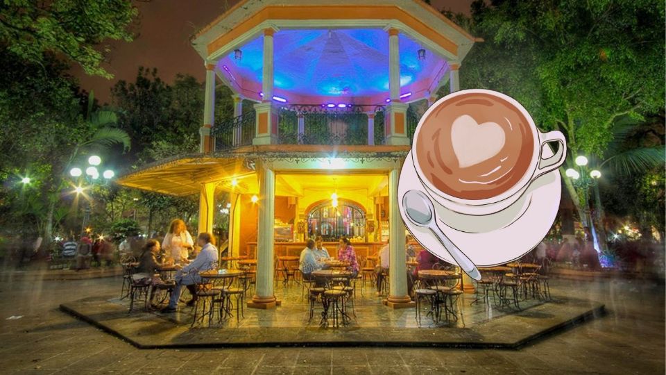 Este destino es invaluable para aquellos que buscan un café de calidad superior y una experiencia de viaje auténtica en México