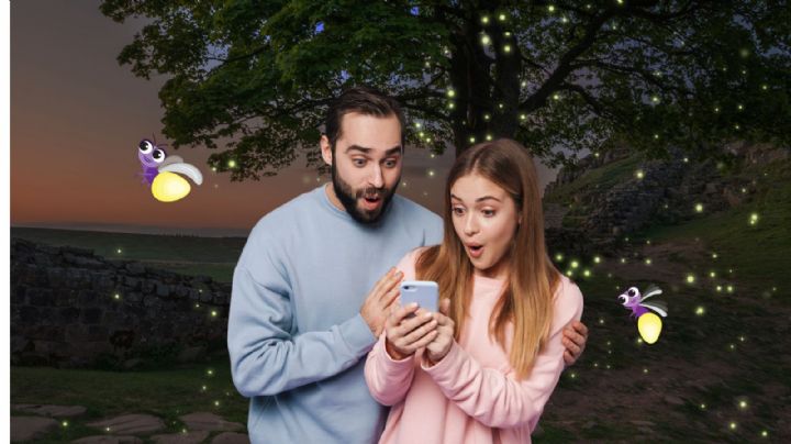 TOP 4: Mejores lugares de Morelos para ver un espectáculo de luciérnagas