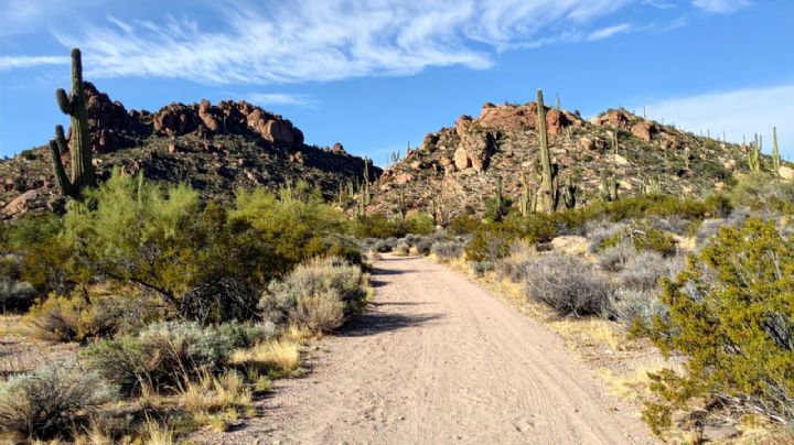 Este es el Hollywood Mexicano en el que se filmaron varias películas y debes conocer