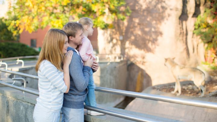 El Zoológico de la CDMX ideal para visitar en familia y ¡No es Chapultepec!