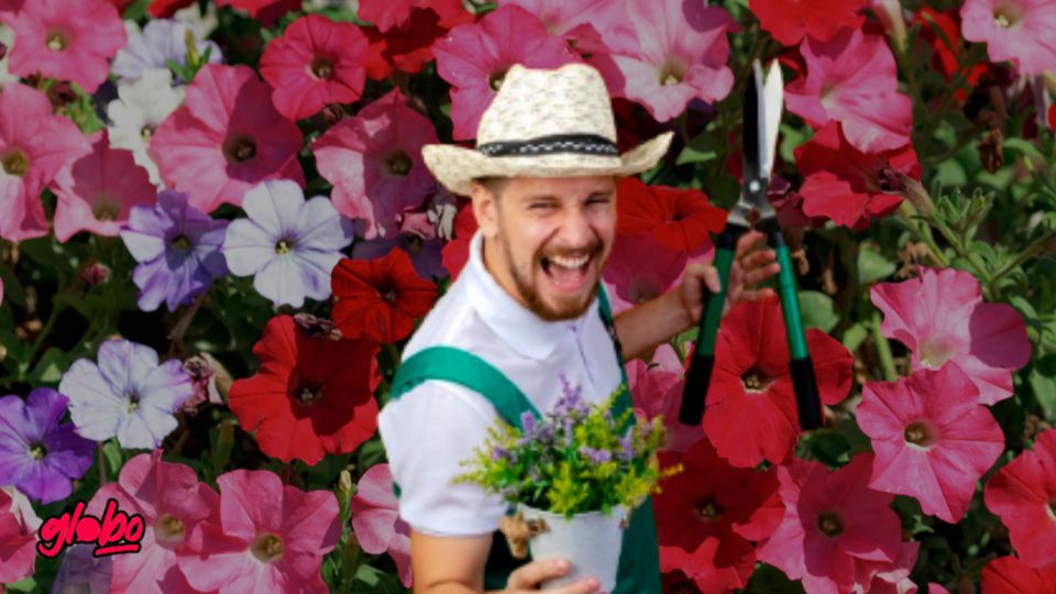 Si quieres que tus geranios luzcan coloridos y con vida, este abono casero será tu mejor aliado.