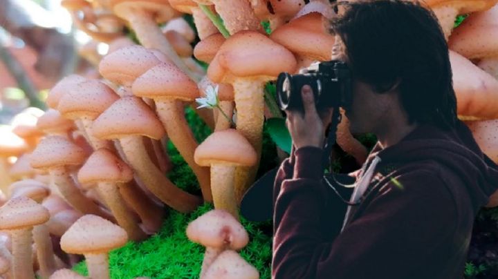 Esta ruta de hongos en el norte de Edomex es fantástica para disfrutar el verano con amigos