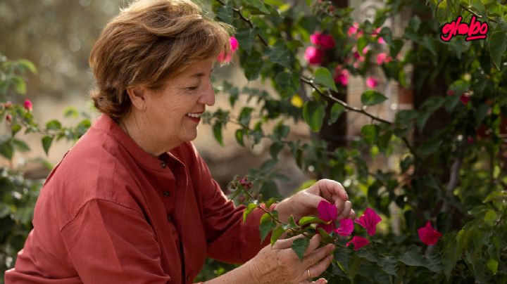 ¡Adiós, Buganvilla! Esta es la mejor planta trepadora con crecimiento rápido en el 2025