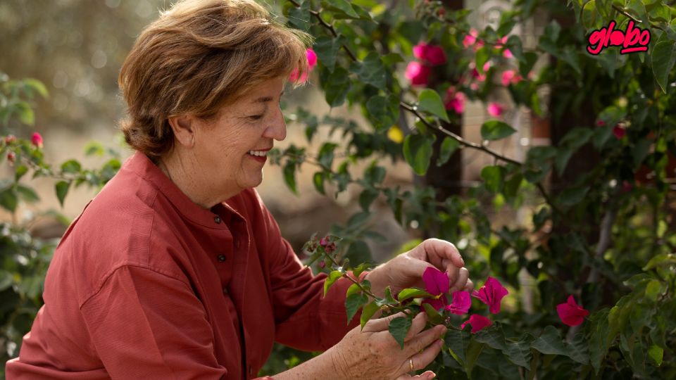 Descubre cuál es la planta trepadora que está desbancando a la buganvilla por su belleza y crecimiento acelerado en 2025.