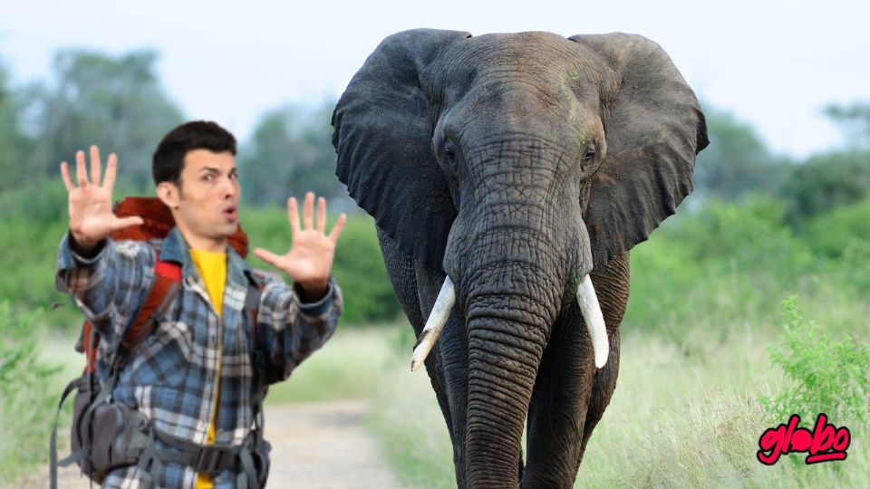 Un impactante video muestra cómo un elefante ataca a un turista, dejándolo gravemente herido.