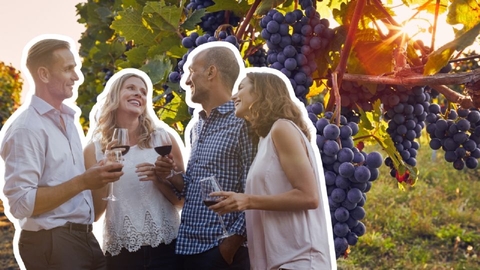 Pueblo mágico de Coahuila donde están los mejores viñedos.