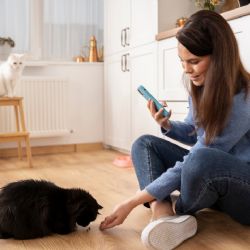 ¿Dónde es el mejor lugar para poner el arenero de tu gato? Considera estas recomendaciones