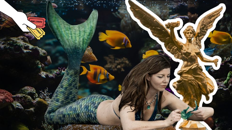 Sirenas en CDMX, la experiencia que no te puedes perder este fin de semana.